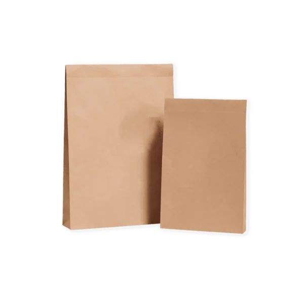 Kraft Mailer bags Printing