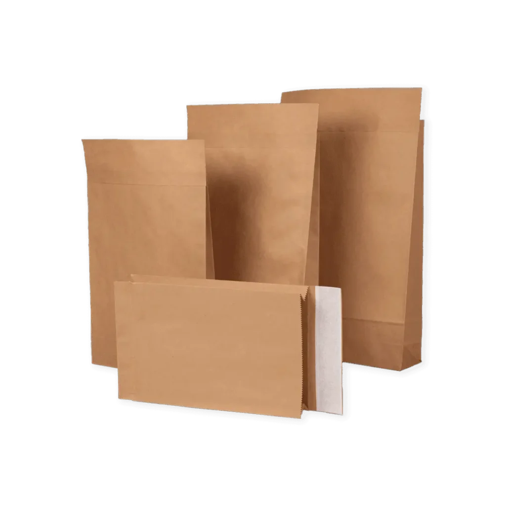 Kraft Mailer bags Printing