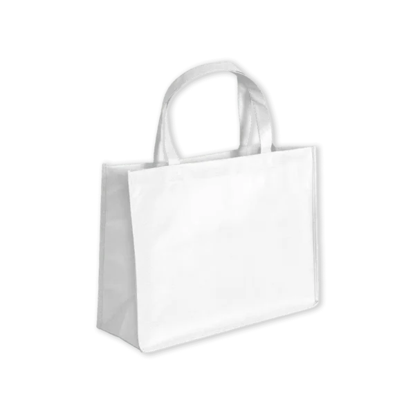 Non-Woven Shopping Bag (Horizontal) Printing