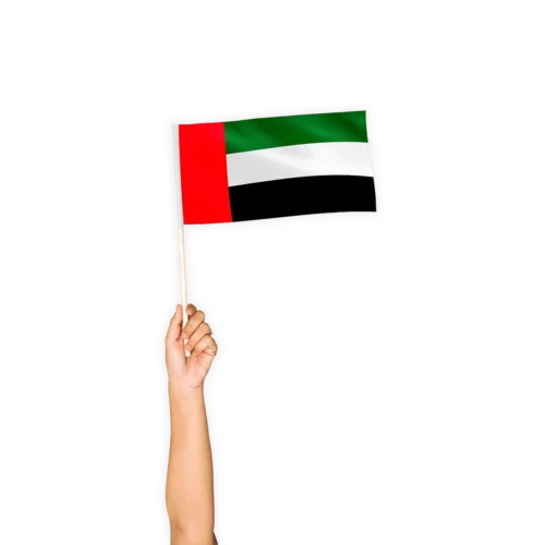 Hand-Held-Flag-03 Hand Held Flags Printing