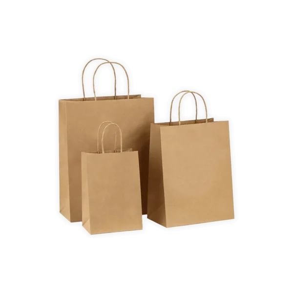 Kraft Bag